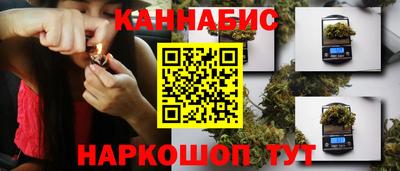 стаф Обнинск